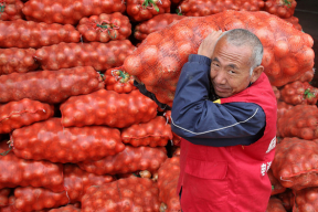 Власти утверждают, что «покорили» рынок Китая. Но цифры говорят совсем другое