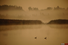 10 «терапевтических» картинок белорусских озер