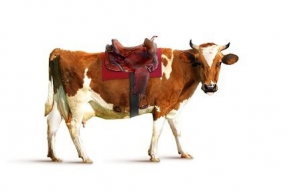 Ганапольский: «Ну, не может быть на корове седло! Ни к чему седло корове!»