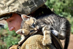 Украинские военные показали спасенных животных