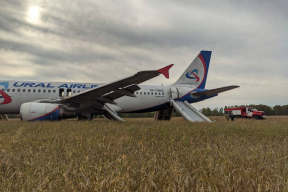 «Россия быстро перемещается в позицию африканских кладбищ». Самолет, летевший из Сочи в Омск, совершил аварийную посадку в поле