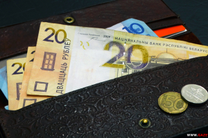 Лузгина: «Меньше денег на руках граждан — меньше давление на валютный рынок»
